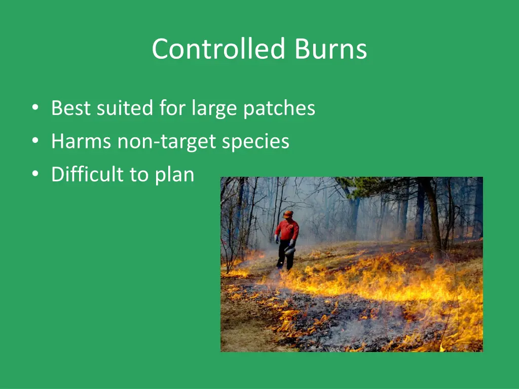 controlled burns