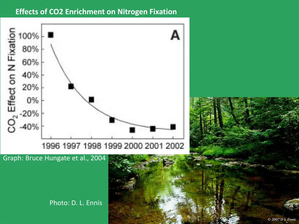 effects of co2 enrichment on nitrogen fixation