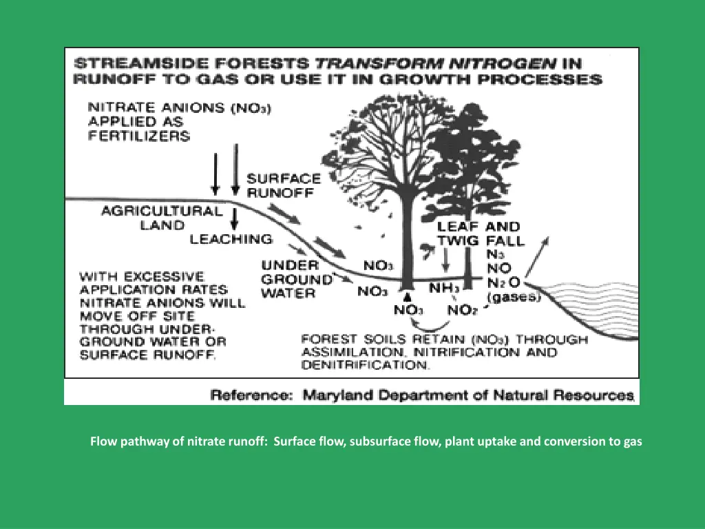 flow pathway of nitrate runoff surface flow