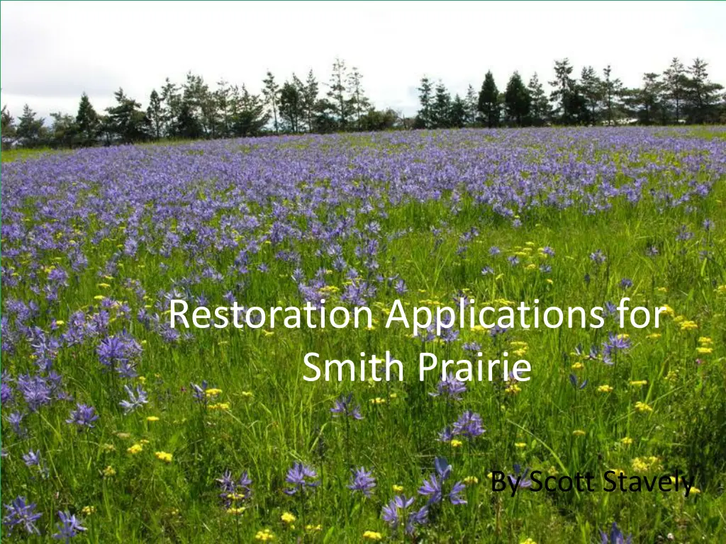 restoration applications for smith prairie