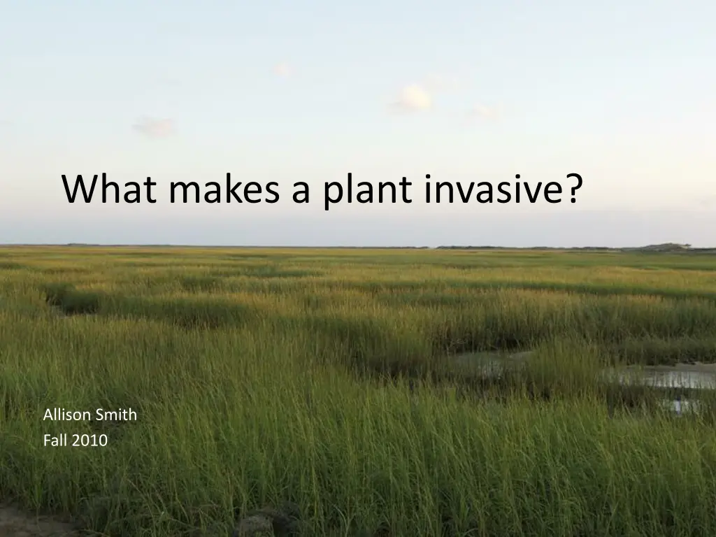 what makes a plant invasive