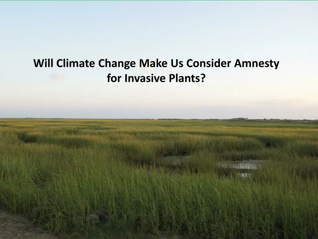 will climate change make us consider amnesty