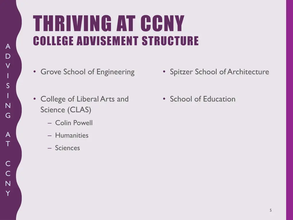 thriving at ccny college advisement structure