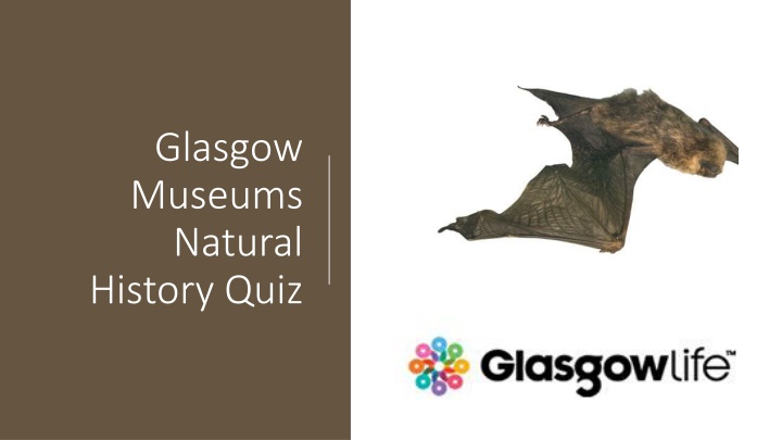 glasgow museums natural history quiz