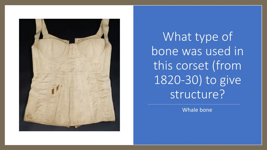 what type of bone was used in this corset from