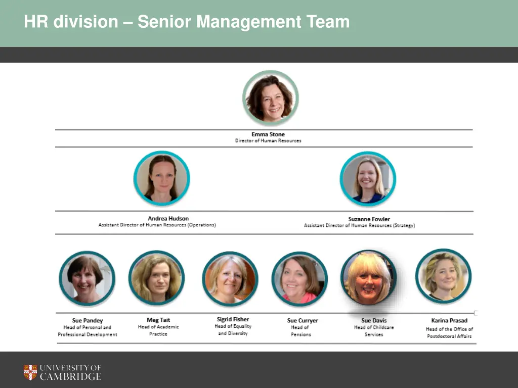 hr division senior management team