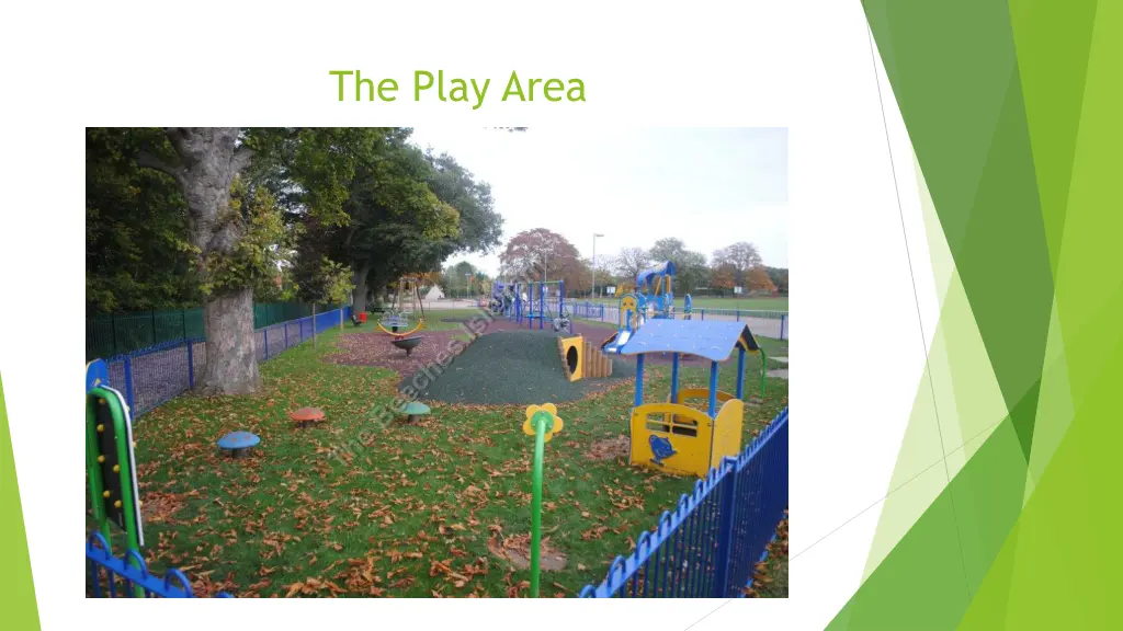 the play area