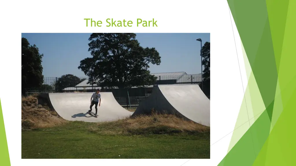 the skate park