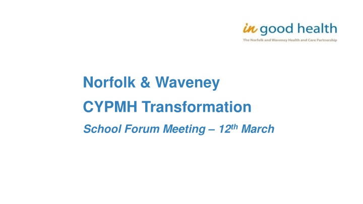 norfolk waveney cypmh transformation