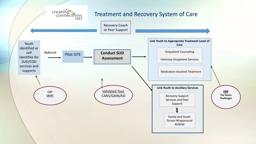 treatment and recovery system of care