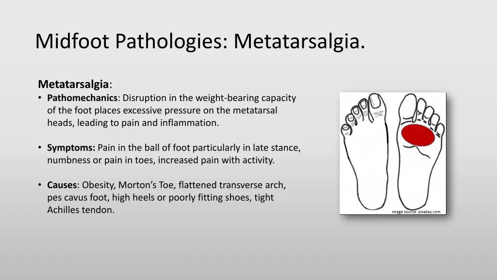 midfoot pathologies metatarsalgia