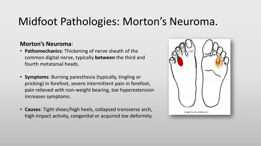 midfoot pathologies morton s neuroma