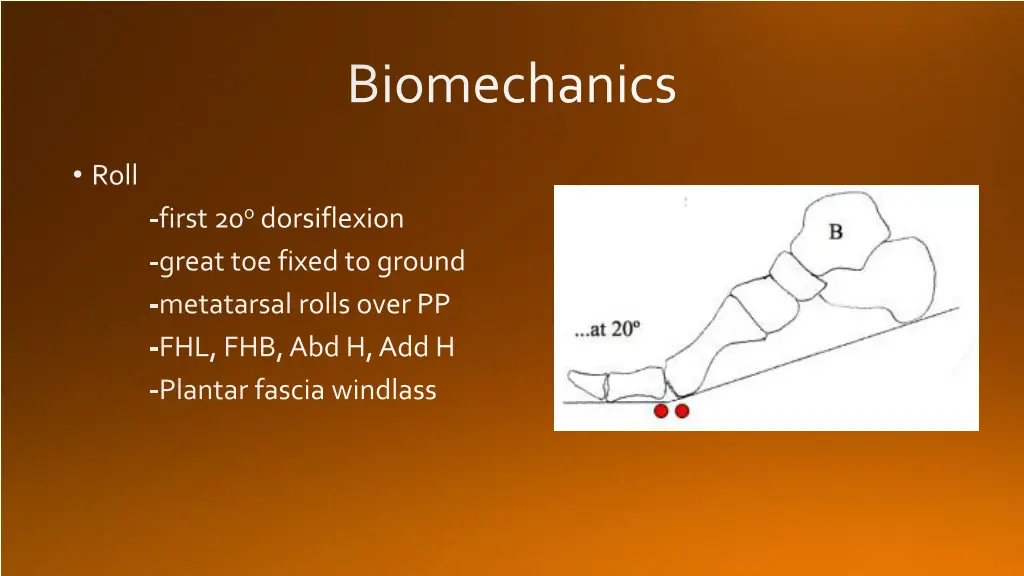 biomechanics 2