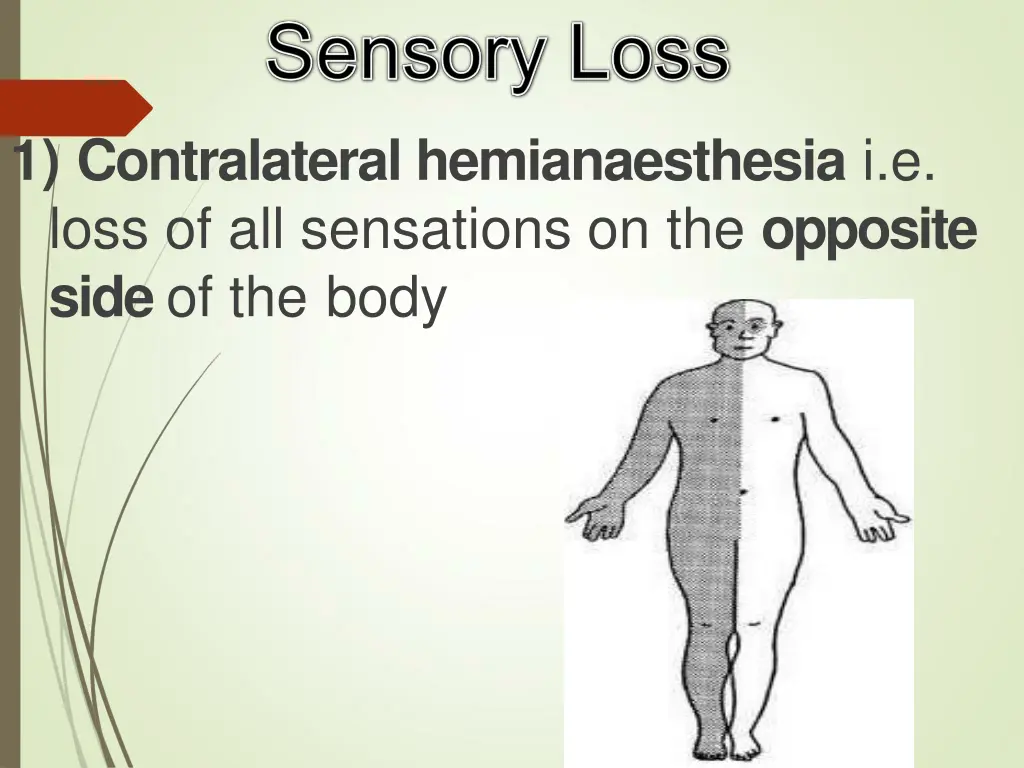 1 contralateral hemianaesthesia i e loss