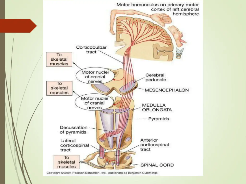 slide10