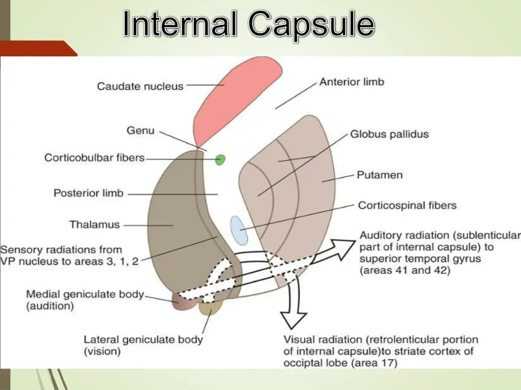 slide19