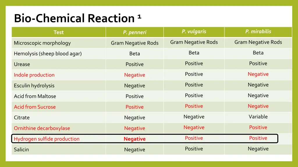 bio chemical reaction 1