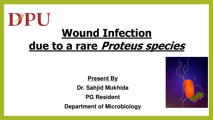 wound infection due to a rare proteus species