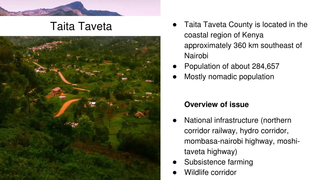 taita taveta