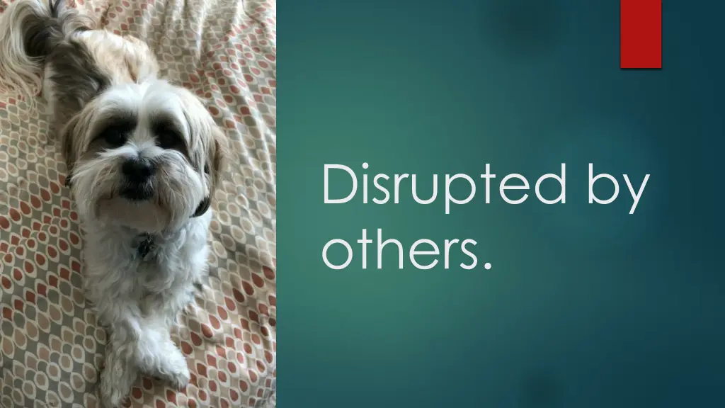 disrupted by others