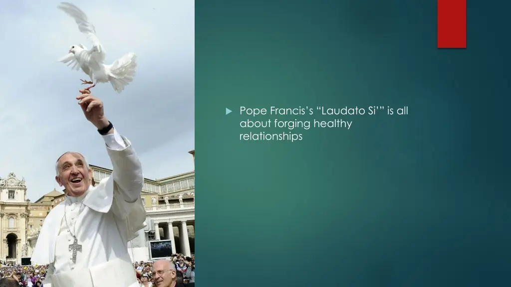 pope francis s laudato si is all about forging