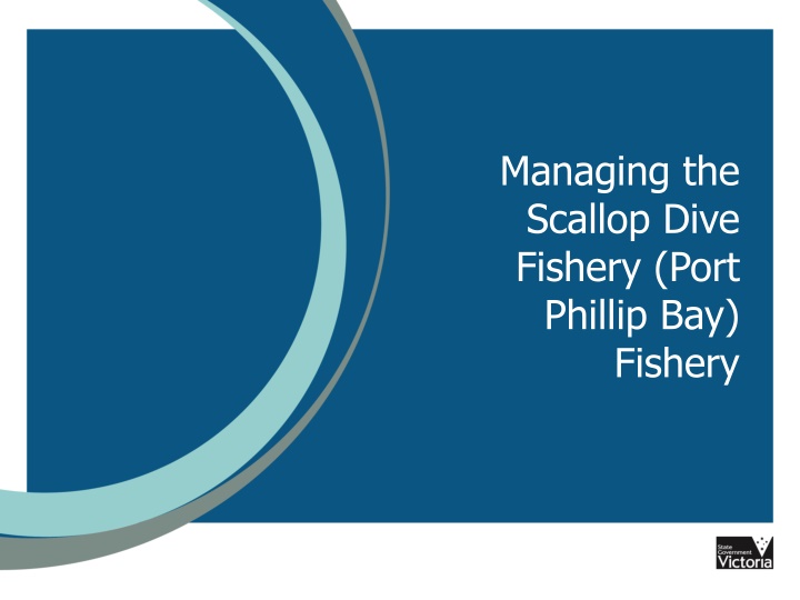 managing the scallop dive fishery port phillip