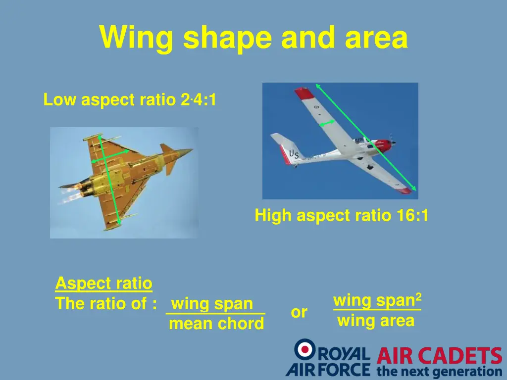 wing shape and area