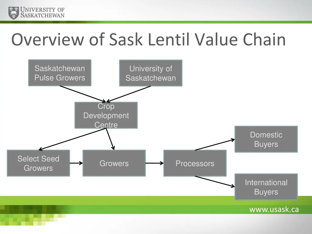 overview of sask lentil value chain