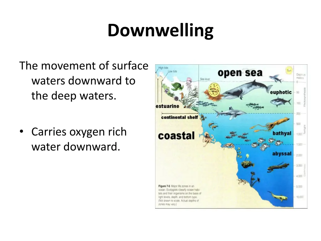 downwelling