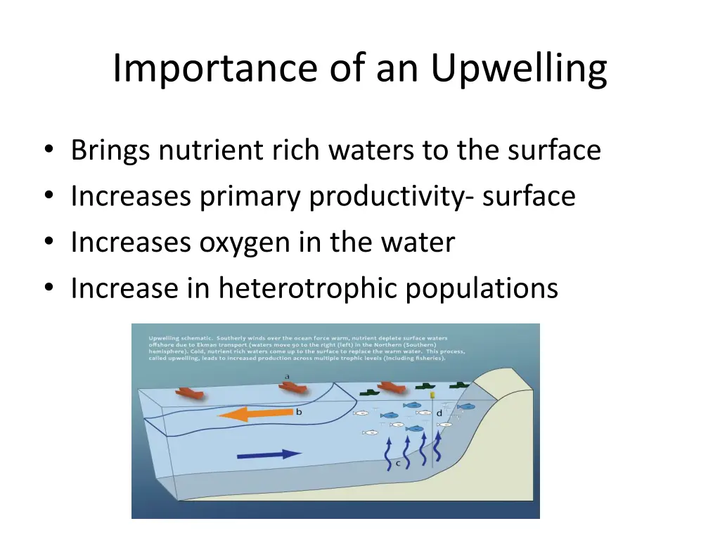 importance of an upwelling