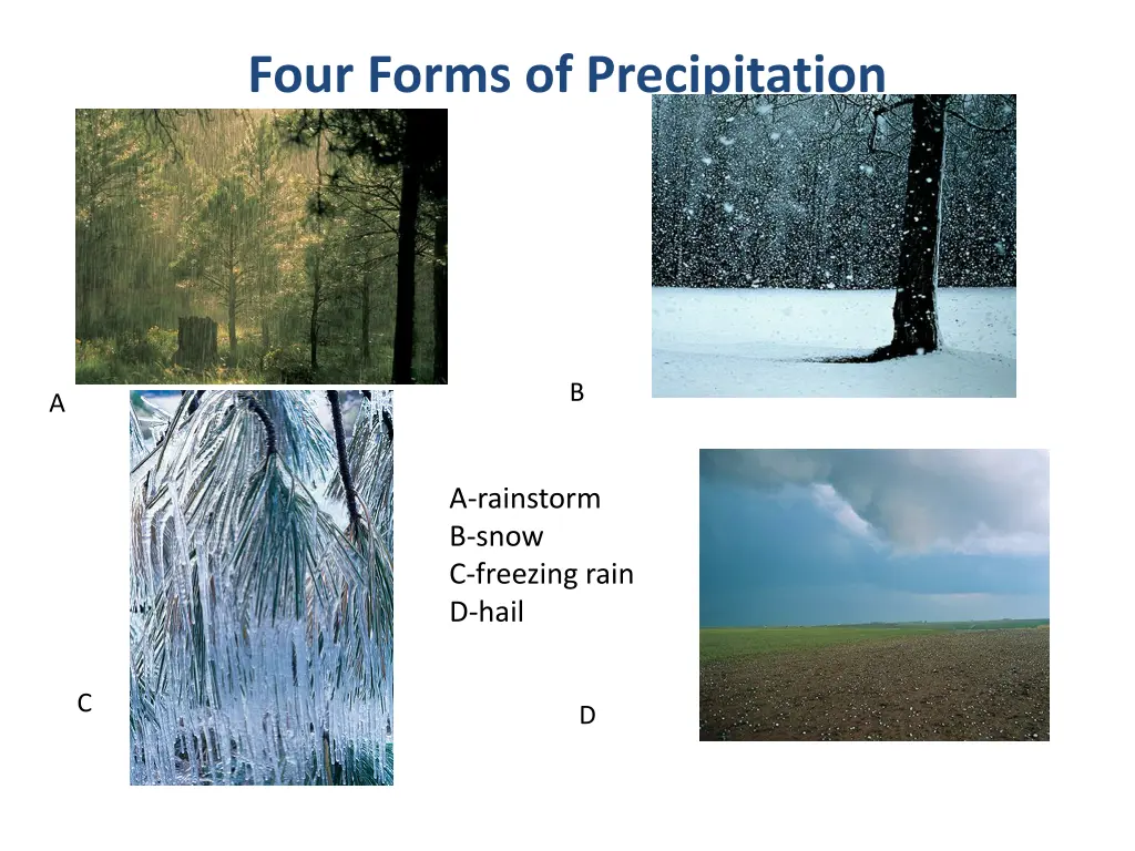 four forms of precipitation