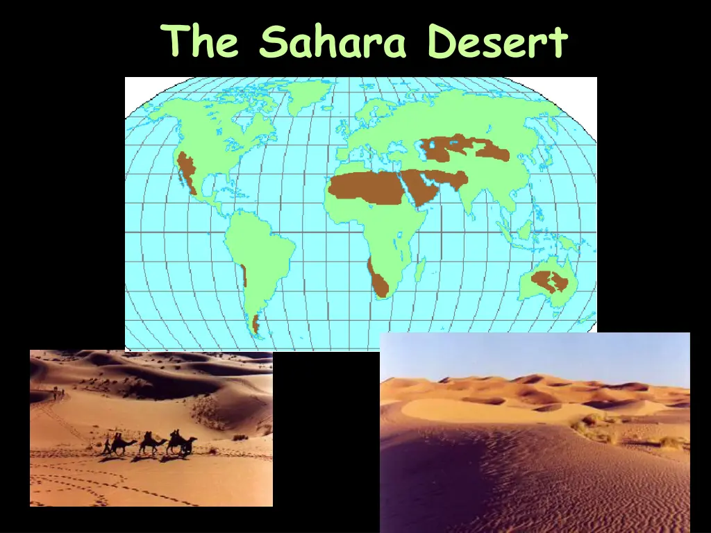 the sahara desert