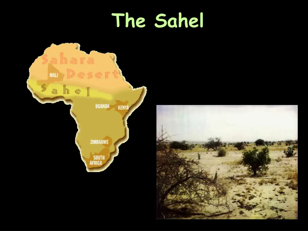 the sahel