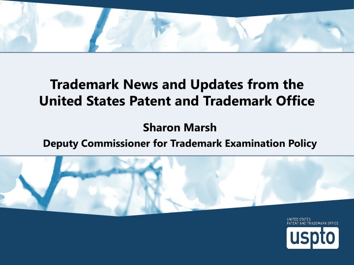 trademark news and updates from the united states