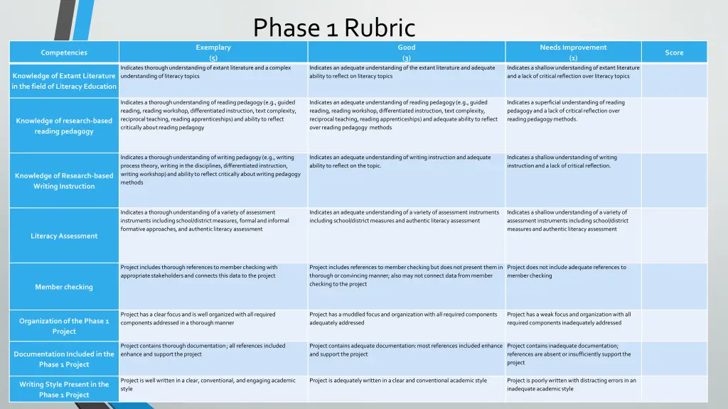 phase 1 rubric