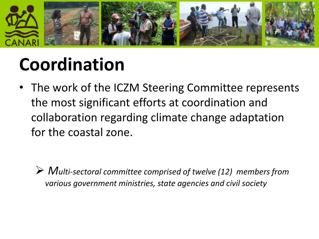 coordination the work of the iczm steering