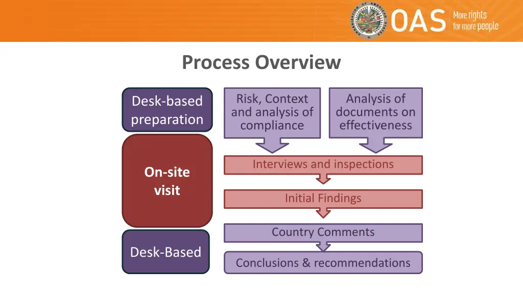 process overview