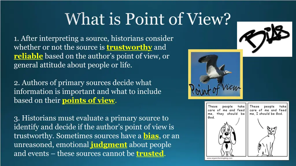 what is point of view