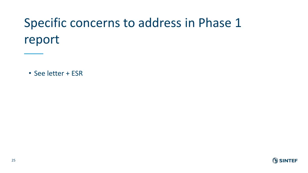 specific concerns to address in phase 1 report