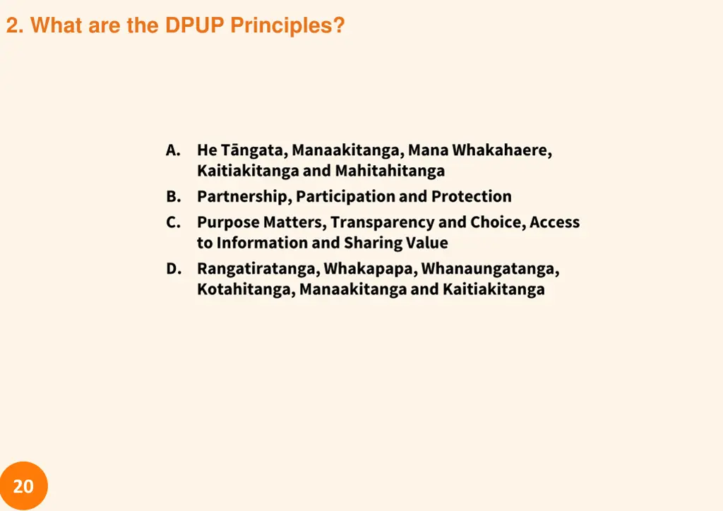 2 what are the dpup principles