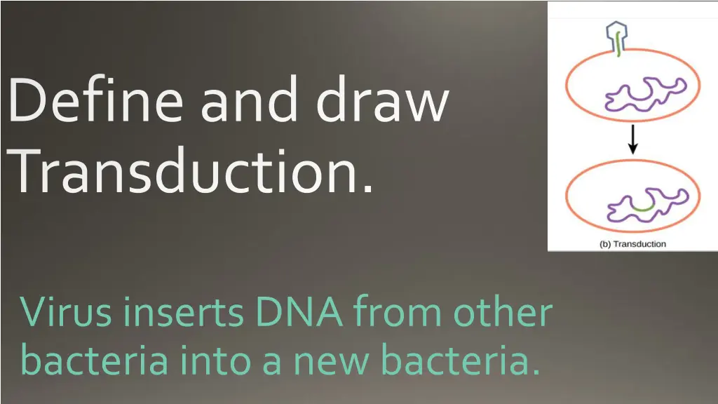 define and draw transduction