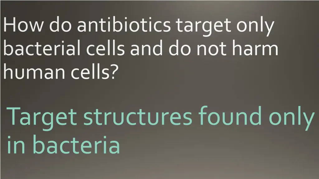 how do antibiotics target only bacterial cells