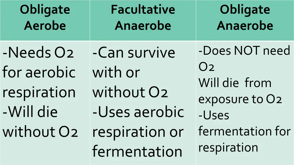 obligate aerobe