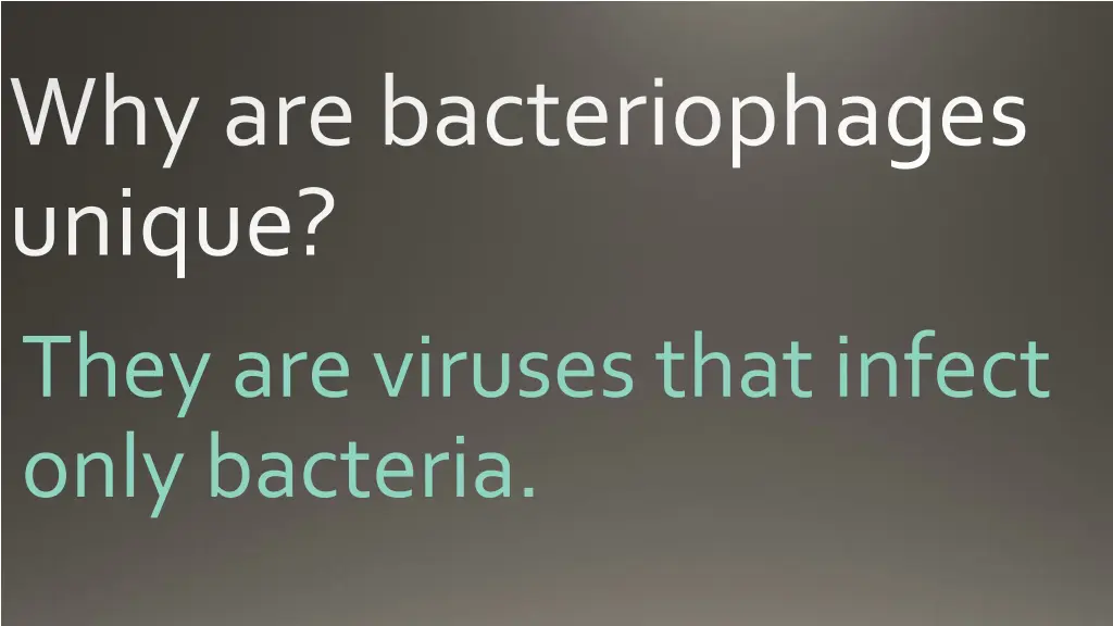 why are bacteriophages unique they are viruses