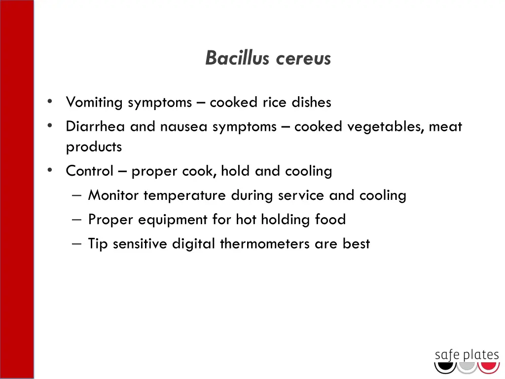 bacillus cereus 1