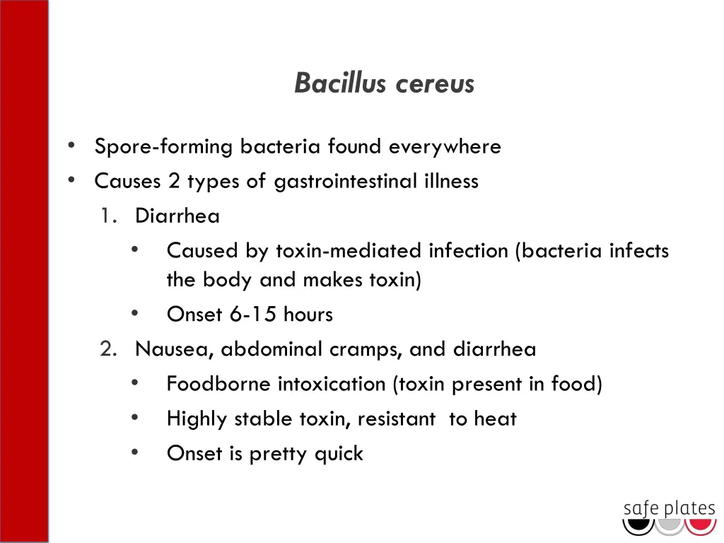 bacillus cereus