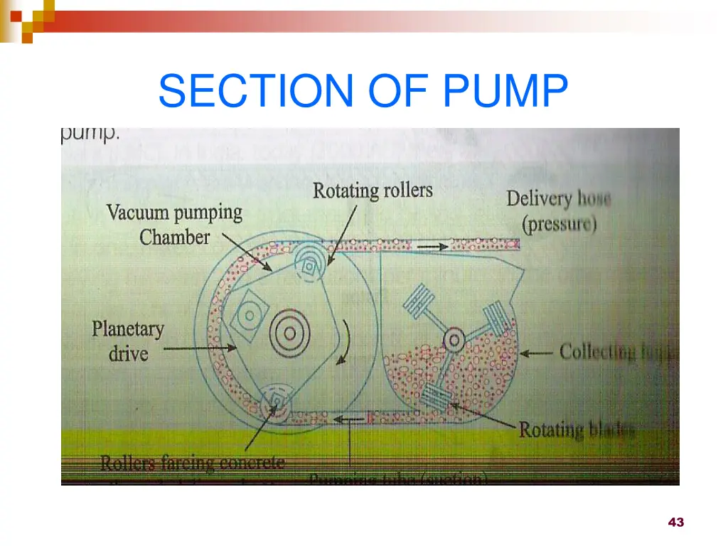 section of pump