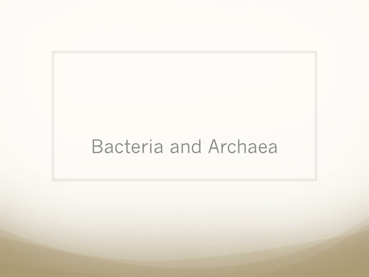 bacteria and archaea