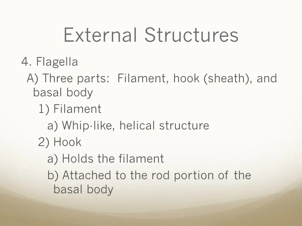 external structures 1