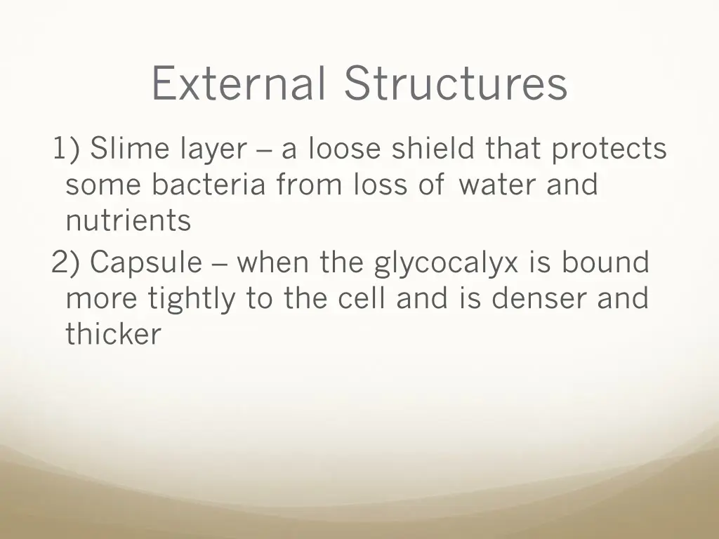 external structures 10